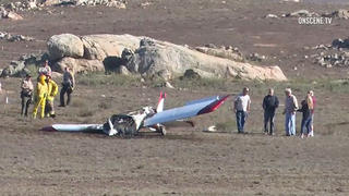 cagelfa.com plane crashes